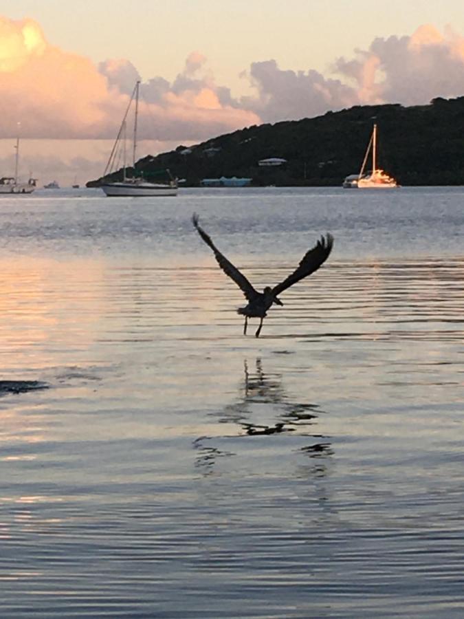 Naniqui Cottage - Only Adults -Parking Golf Car Only Isla Culebra エクステリア 写真