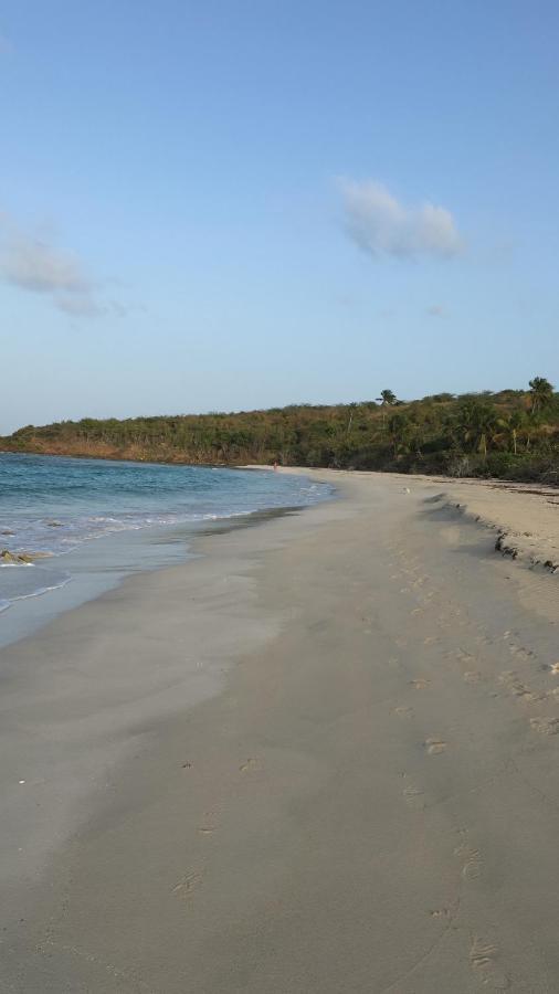 Naniqui Cottage - Only Adults -Parking Golf Car Only Isla Culebra エクステリア 写真
